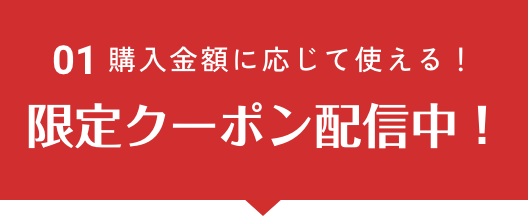 購入金額に応じて使える！限定クーポン配信中！