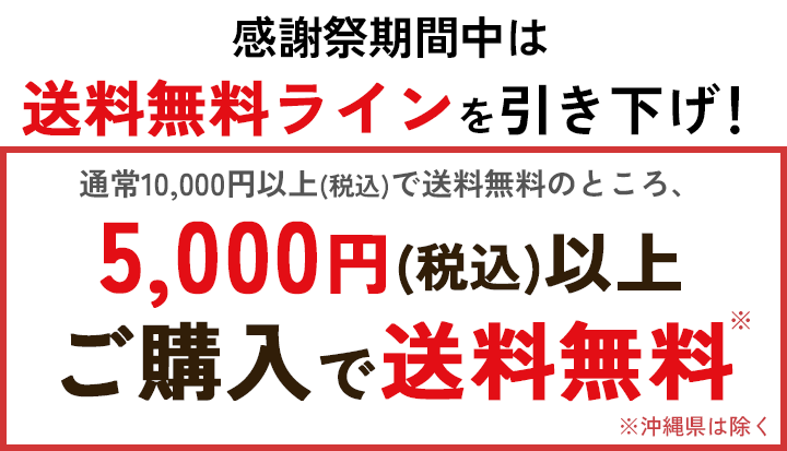 感謝祭中は5000円以上送料無料