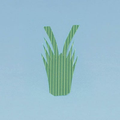 生ﾊﾞﾗﾝ ｴﾋﾞ型 1号 1000枚