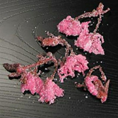 ⑧【春商材】岡井）桜花塩漬ポット　２００ｇ＜２月中～４月中旬＞