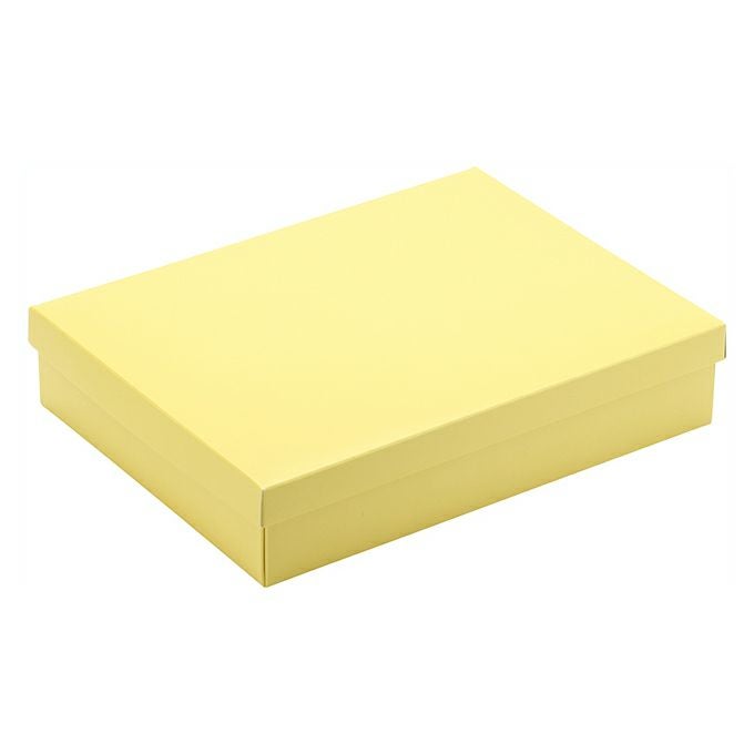 彩り 菜の花 底・中枠 12個(蓋 別売り)　100入